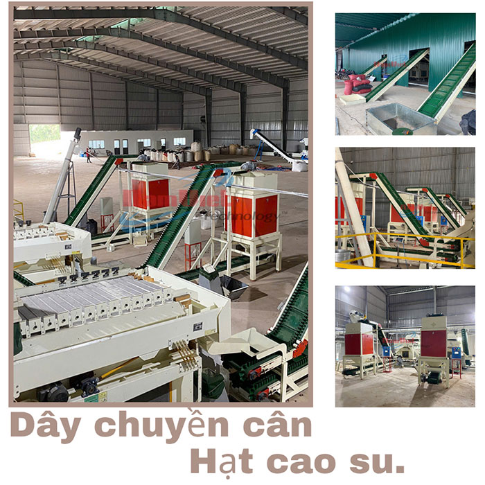 dây chuyền cân hạt cao su