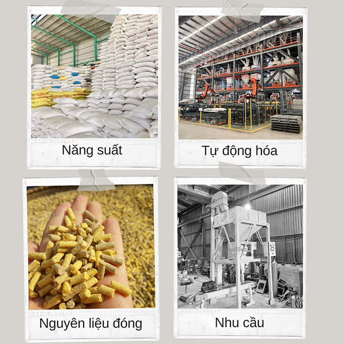 cách chọn máy đóng bao phù hợp nhu cầu