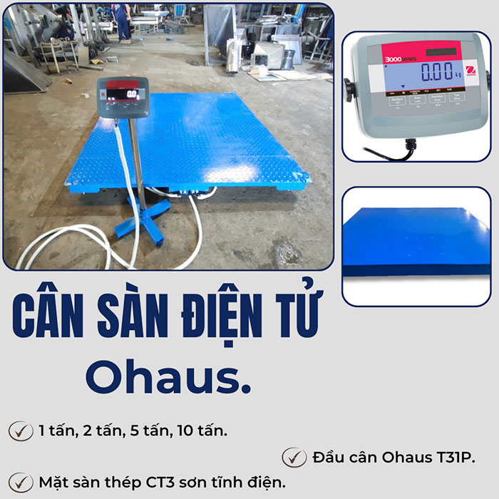 Cân điện tử sàn Ohaus T31P