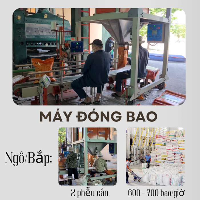 m&aacute;y đ&oacute;ng bao hạt ng&ocirc; bắp