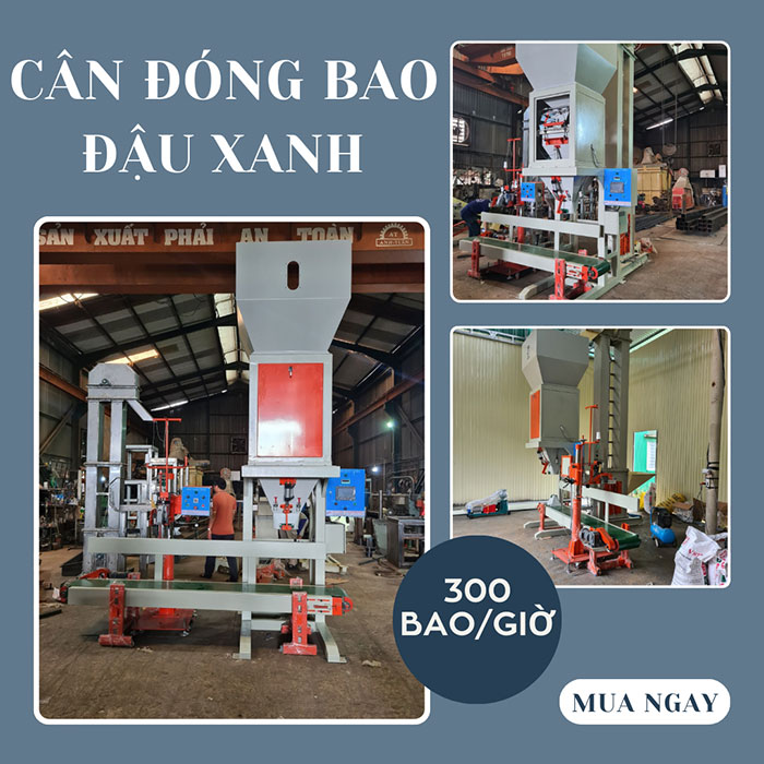 Cân đóng bao đậu xanh 300 bao/giờ