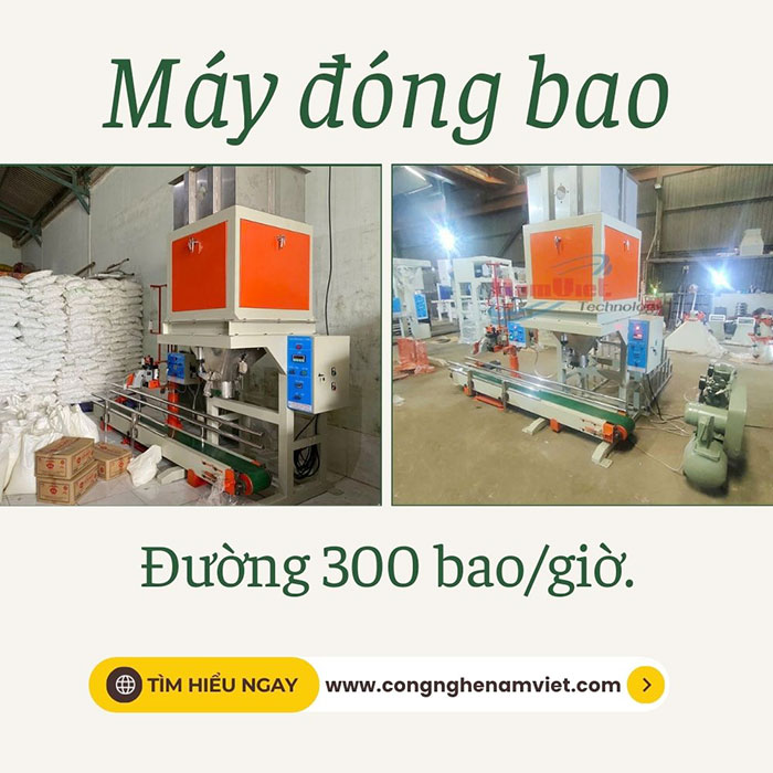 Cân đóng bao đường bao bì 5kg - 10kg năng suất 300 bao/giờ.