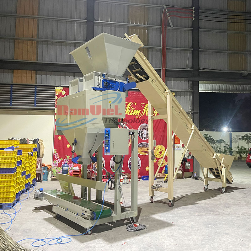 hệ thống đóng bao ớt tự động