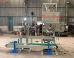 Máy đóng bao bột gỗ năng suất 200 bao/giờ.