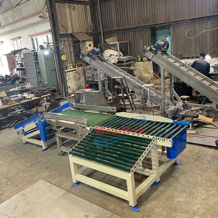 Cân băng tải định lượng